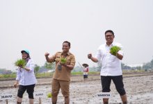 Kunjungi Klaten, Wamentan : Petani Tidak Boleh Susah